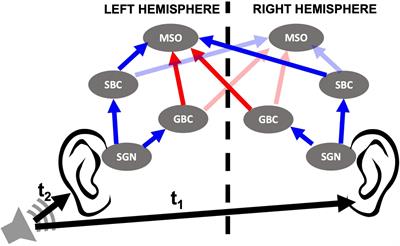 Binaural Processing Deficits Due to Synaptopathy and Myelin Defects